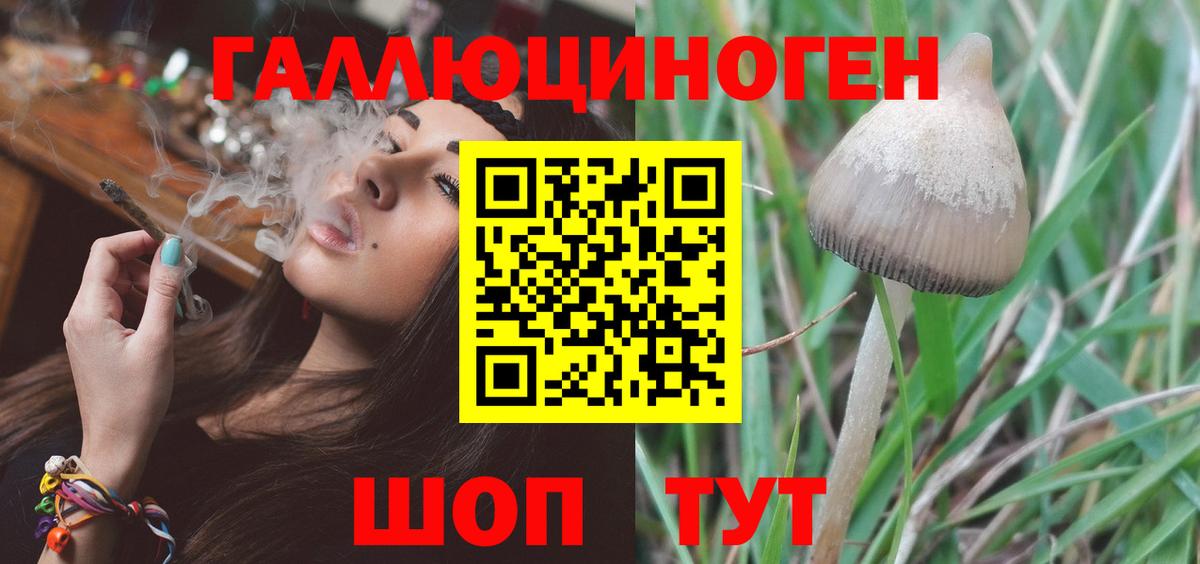 Псилоцибиновые грибы Cubensis Королёв